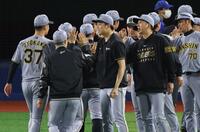 　ナインを迎える藤川監督、才木ら（撮影・金田祐二）