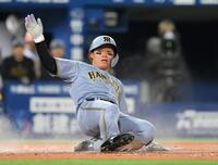 　４回、前川の一ゴロで本塁に突入するもアウトになる三走・森下（撮影・伊藤笙子）