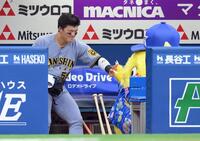 　試合前、ベンチでチャピー（右）とハイタッチする前川（撮影・伊藤笙子）