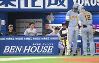 　４回、坂本（１２）を見つめる藤川監督（左）＝撮影・伊藤笙子