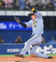 　７回、中野の左前打で本塁生還する際に送球が足に当たる近本（撮影・伊藤笙子）