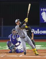 　７回、勝ち越し２ランを放つ森下（撮影・金田祐二）