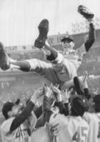 　通算３００勝を達成し胴上げされる小山氏＝７１年７月