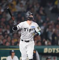 MARKEY'S　阪神タイガース 佐藤輝明 100号⚾️ 皆さんのサポートがいつも力になっています