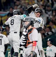 　３回、３ランの佐藤輝をジャンプして迎える森下（撮影・田中太一）