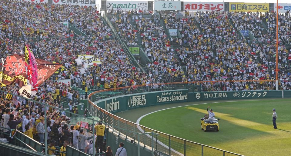 　場内一周をする大山（右）に大声援を送るスタンドのファン（撮影・中田匡峻）