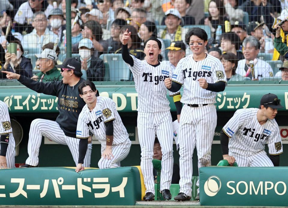 　８回、適時打を放った坂本に声を張り上げる近本（中央）＝撮影・田中太一