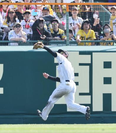 　５回、吉川の打球を好捕する森下（撮影・田中太一）