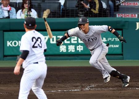 　８回、吉川の折れたバットが桐敷に直撃する（撮影・山口登）