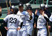 　背番号２３のユニホームを着てアップする 佐藤輝（中央）ら阪神ナイン（撮影・山口登）