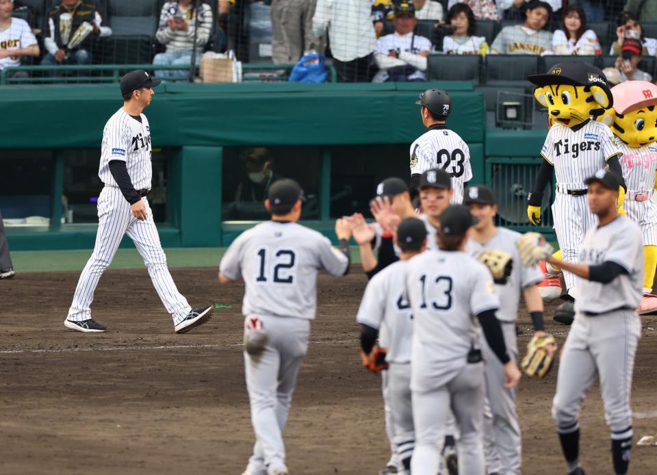 　巨人に敗れ、試合後のあいさつに向かう藤川監督（左）＝甲撮影・山口登