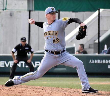 　８回に登板し無失点に抑えたネルソン