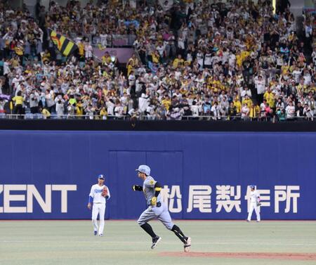 　５回、同点ソロを放ち、ファンの大歓声を受けながらダイヤモンドを回る佐藤輝（撮影・北村雅宏）