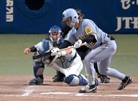 　９回、バントを空振りする坂本（撮影・飯室逸平）