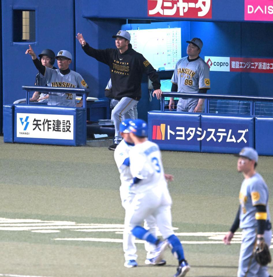 　４回、高橋周（３）の打球のホームラン判定にベンチを出てリクエストに向かう藤川監督（撮影・飯室逸平）