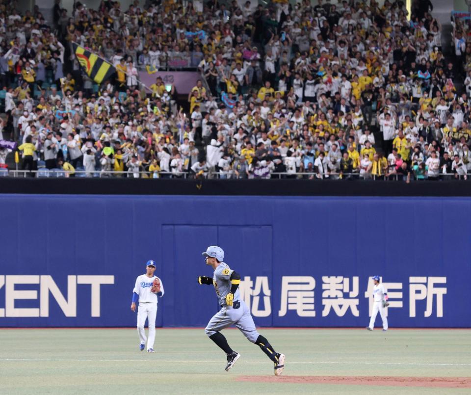 　５回、同点ソロを放ち、ファンの大歓声を受けながらダイヤモンドを回る佐藤輝（撮影・北村雅宏）