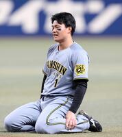 大阪桐蔭　半袖vジャン　早い者勝ち　値段交渉コメント 阪神タイガース 白ショート特攻服刺繍 | 特攻服の刺繍、オーダー