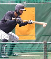 　バント練習する島田（撮影・北村雅宏）