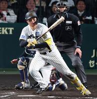 　７回、適時内野安打を放つ森下（撮影・中田匡峻）