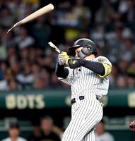 ３回、バットを折られ凡打に倒れる森下（撮影・田中太一）