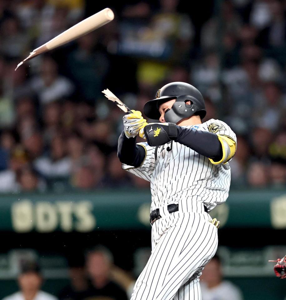 ３回、バットを折られ凡打に倒れる森下（撮影・田中太一）