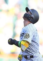 　７回、二ゴロに倒れた森下（撮影・西田忠信）