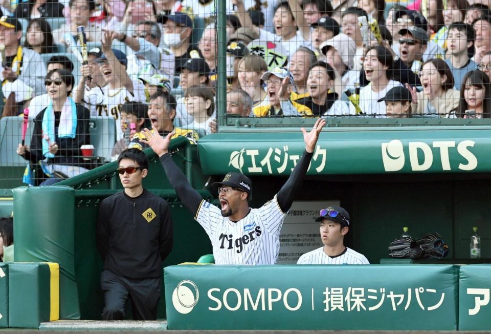 　６回、敵失で２点を追加し、ベンチで大喜びするデュプランティエ（撮影・田中太一）