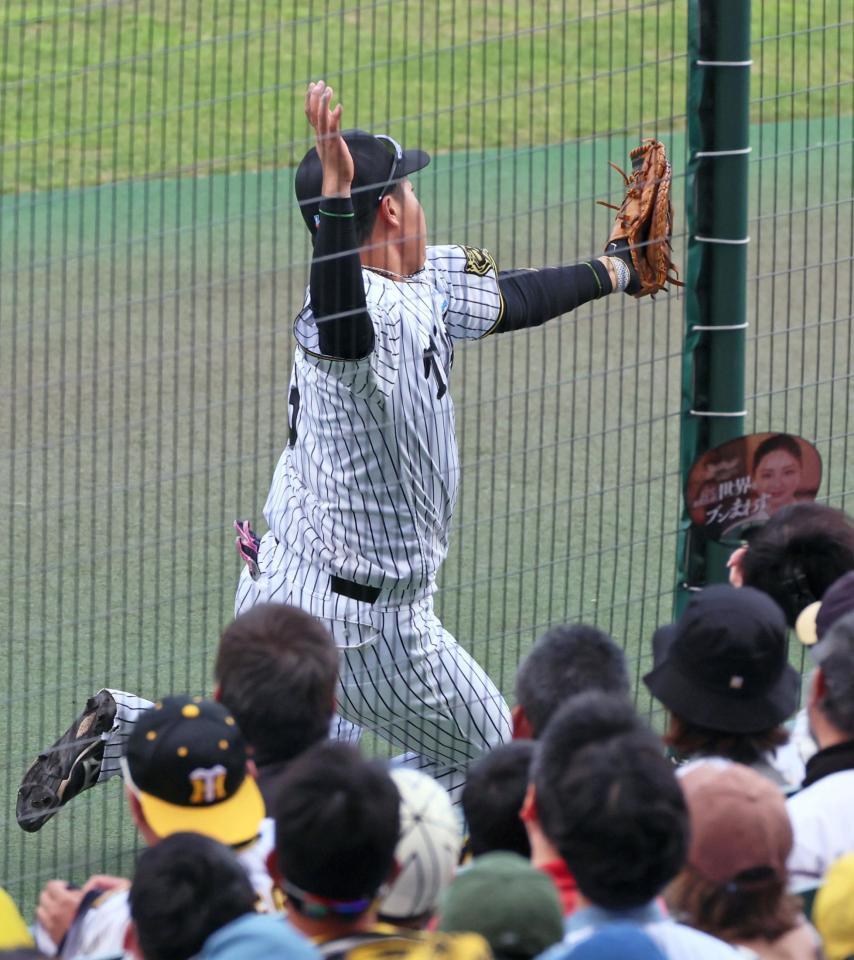 　６回、山田の打球をファウルゾーンでキャッチする大山（撮影・立川洋一郎）