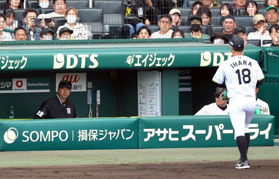 　７回、伊原が降板しグラインドを見つめる藤川監督（左）＝撮影・山口登