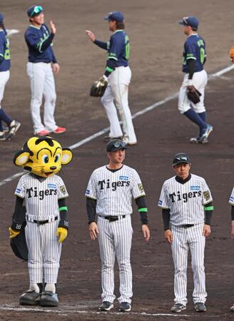 　ヤクルトに敗れスタンドのファンにあいさつする藤川監督（手前中央）＝撮影・立川洋一郎