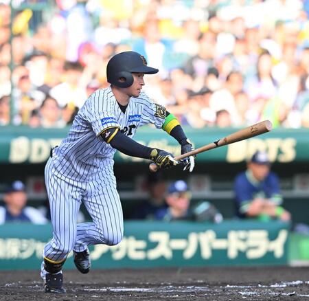 　７回、右前打を放つ近本（撮影・西田忠信）