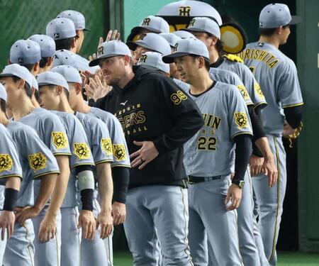 　ナインを迎える藤川監督とビーズリー（撮影・金田祐二）