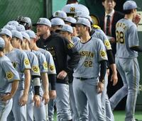 　ナインを迎える藤川監督とビーズリー（撮影・金田祐二）