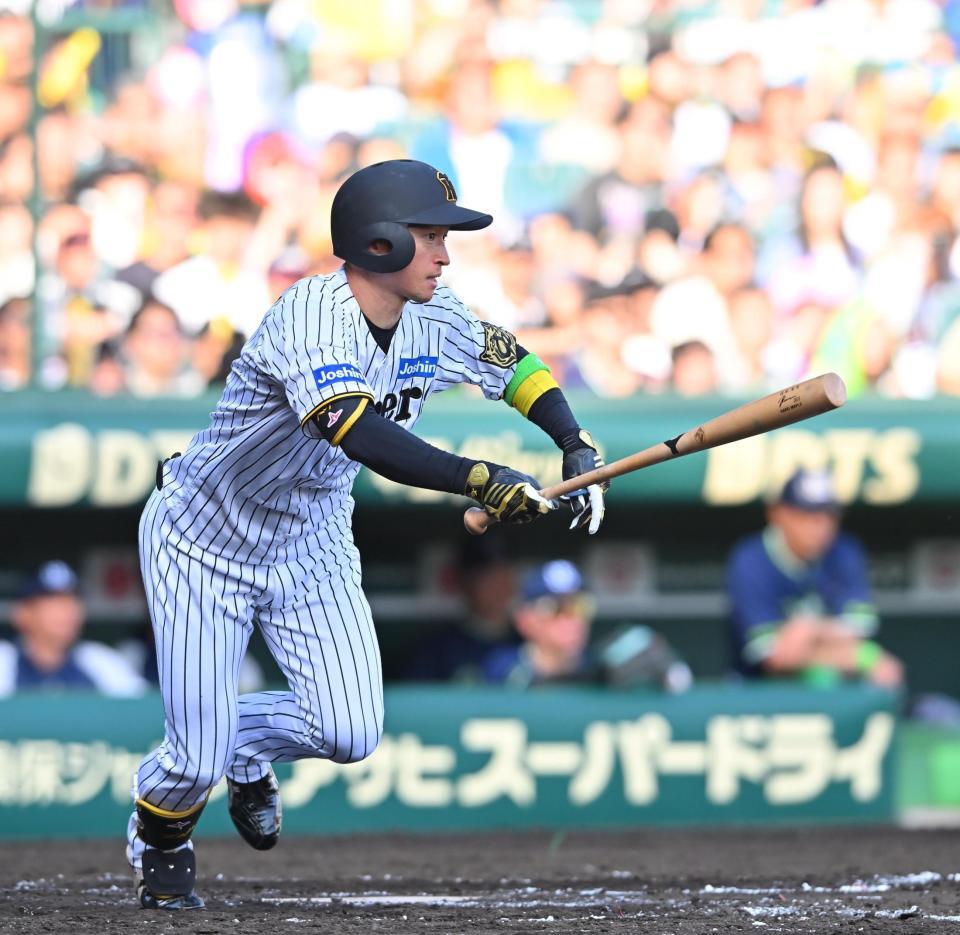 　７回、右前打を放つ近本（撮影・西田忠信）
