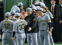 　ナインを迎える藤川監督とビーズリー（撮影・金田祐二）