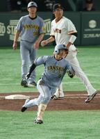 　３回、２点三塁打を放つ近本（撮影・金田祐二）