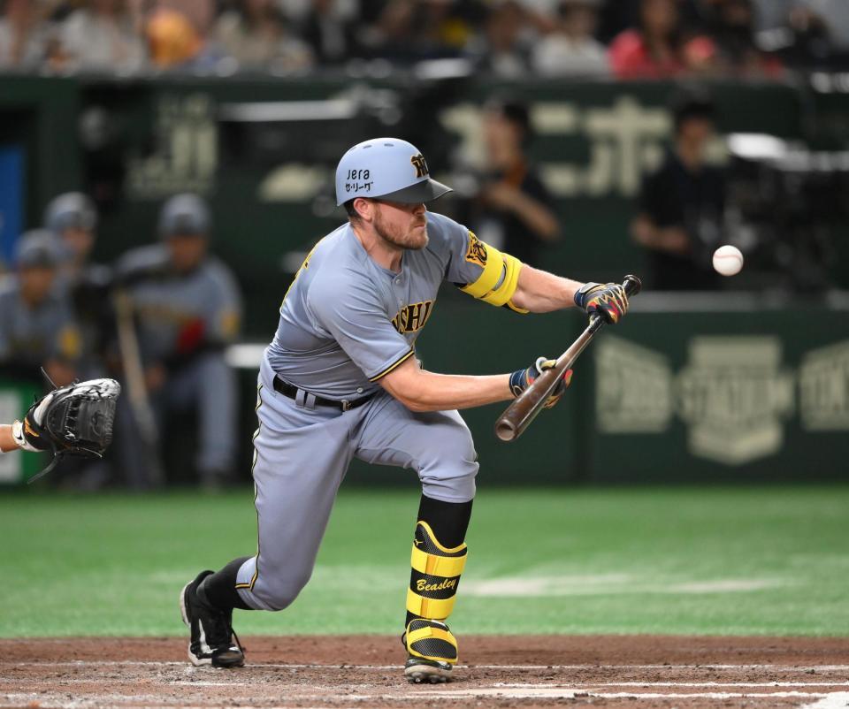 　６回、犠打を決めるビーズリー（撮影・堀内翔）