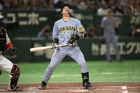 　２回、犠打を試みるも捕邪飛に終わる梅野（撮影・堀内翔）