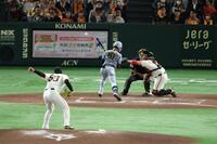 　７回、死球を受ける中野（撮影・金田祐二）