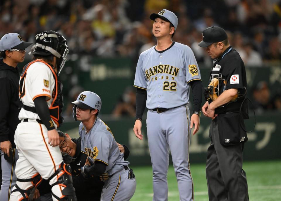７回、中野（左下）が死球を受けて巨人ベンチを見る藤川監督（撮影・堀内翔）