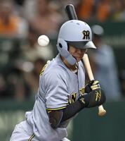 　７回、死球を受ける中野（撮影・田中太一）