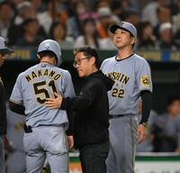 　７回、中野（左）が死球を受けて巨人ベンチを見る藤川監督（撮影・堀内翔）