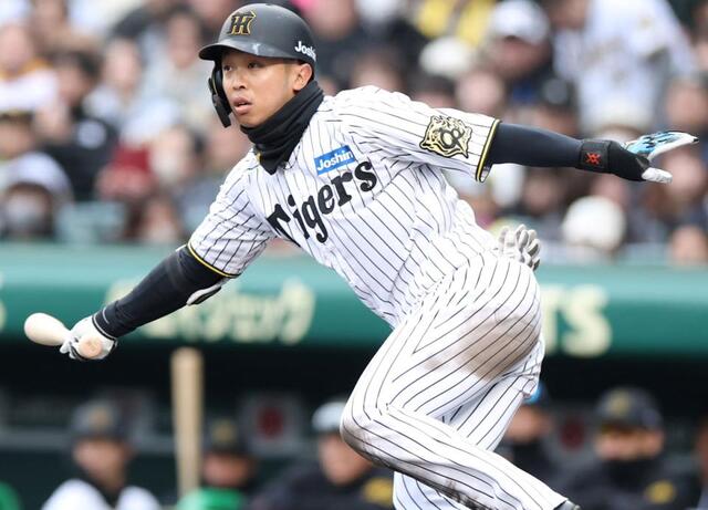 阪神・島田海吏外野手が再び出場選手登録抹消/阪神タイガース/デイリー