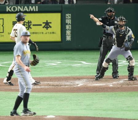 　ビーズリーとバッテリーを組む梅野（右）