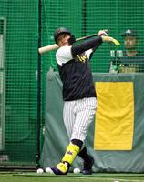 　打撃練習する森下（撮影・山口登）