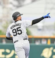 　４回、２ランを放ちダイヤモンドを一周するヘルナンデス（撮影・西田忠信）