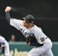 　力投する先発の早川（撮影・西田忠信）