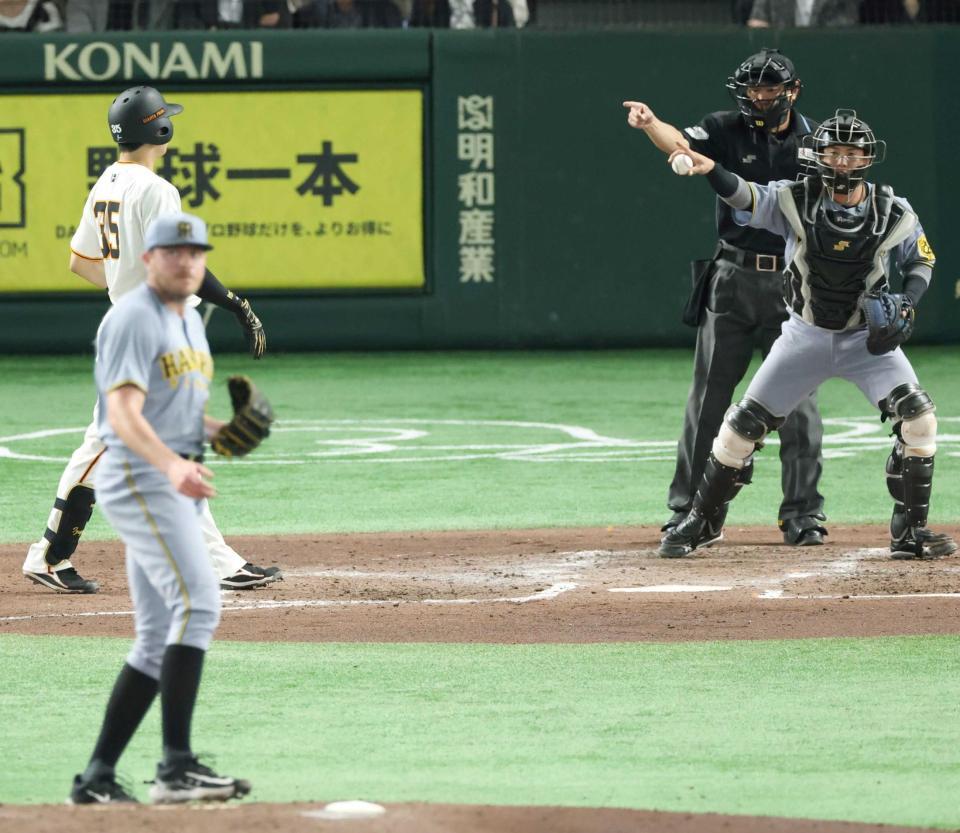 　ビーズリーとバッテリーを組む梅野（右）