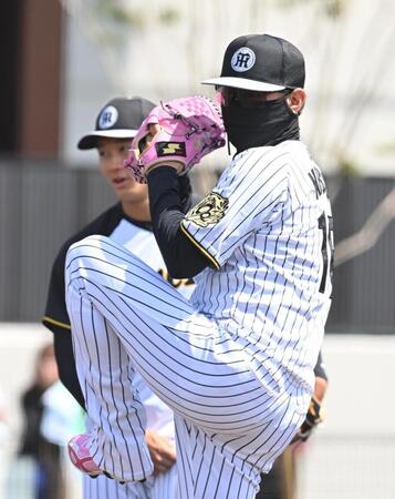 　ピンクのグラブとスパイクで練習する西勇（撮影・西田忠信）