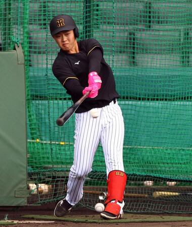 　打撃練習する中川（撮影・山口登）